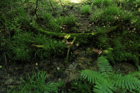 f0075075_1332642.jpg