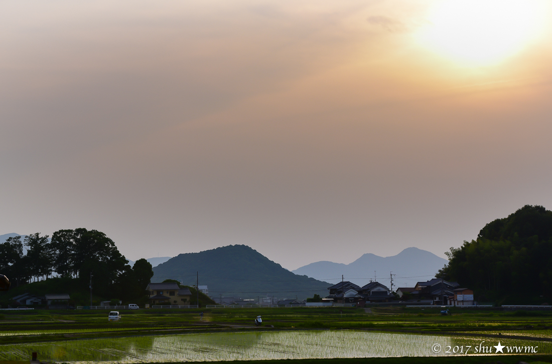 a0142976_15410699.jpg