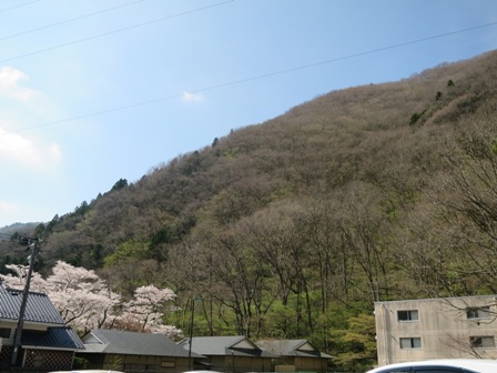a0208783_21572648.jpg