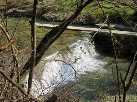 a0208783_2205229.jpg