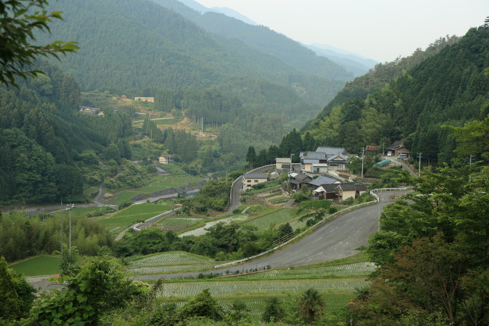c0358784_12432897.jpg