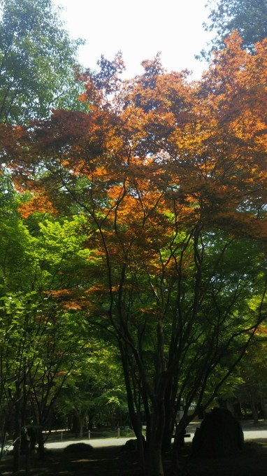 b0210688_15215611.jpg