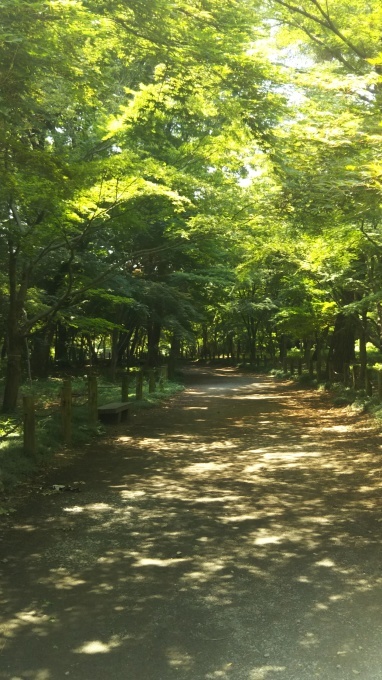 b0210688_15293863.jpg