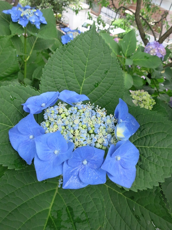 e0182389_01044827.jpg