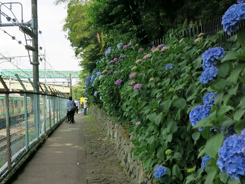 e0182389_01073582.jpg