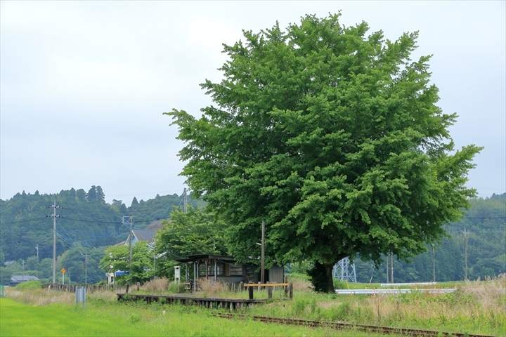 a0335890_15000998.jpg