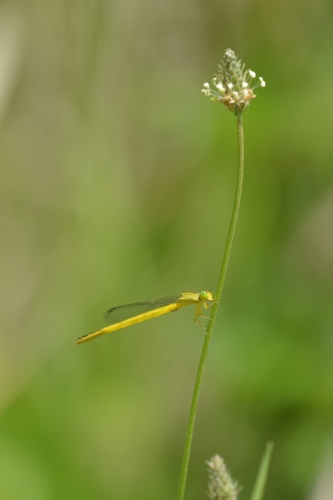 e0353790_03272127.jpg