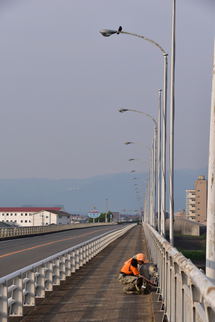 c0049299_22592122.jpg