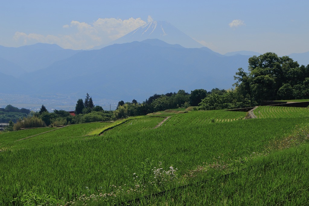 a0188405_00112207.jpg