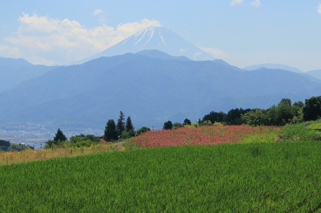 a0188405_00112917.jpg