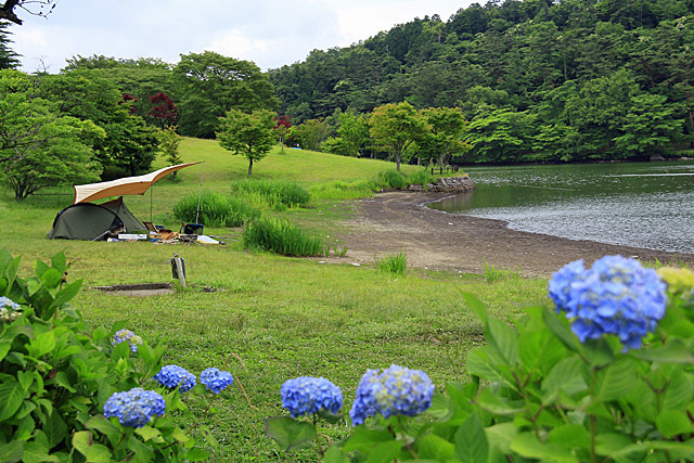 b0014607_09110666.jpg