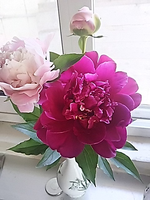 f0316507_09083640.jpg