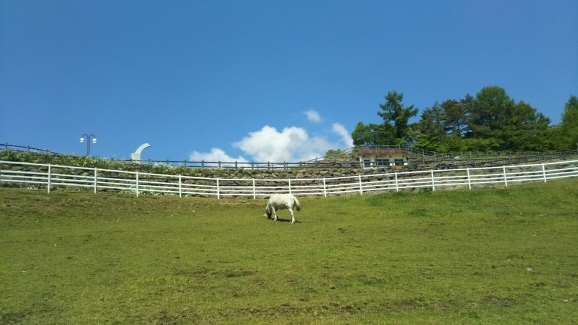 d0249708_13523585.jpg