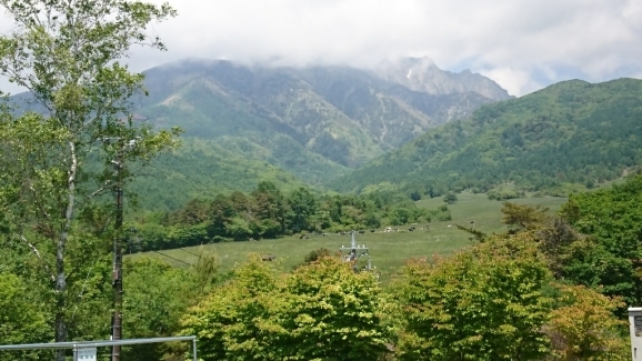 d0249708_13524632.jpg