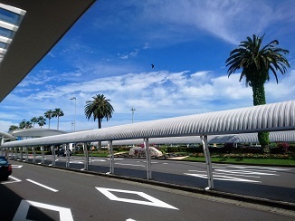 d0091909_19502335.jpg