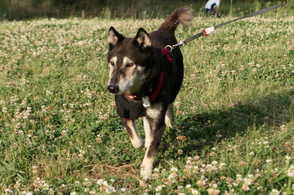 f0369014_08485909.jpg