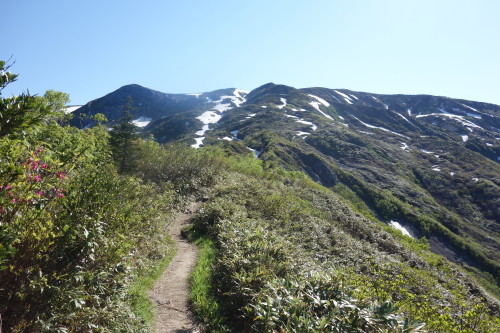 c0223019_12510106.jpg
