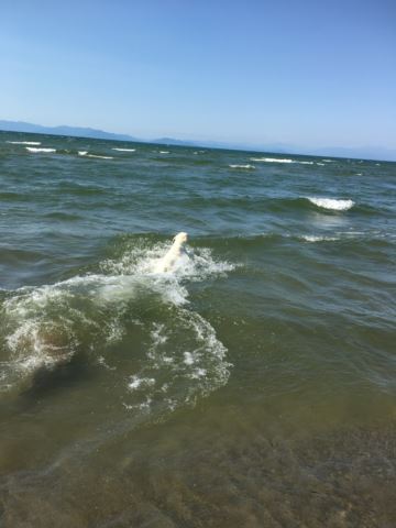 c0114121_01164.jpg