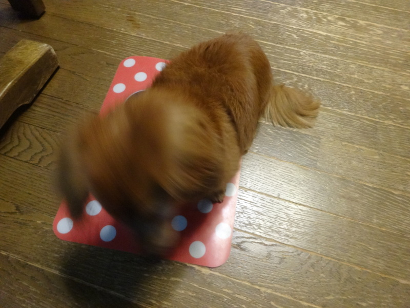 c0157824_2354983.jpg