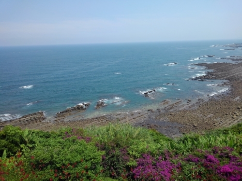 e0068732_17503541.jpg