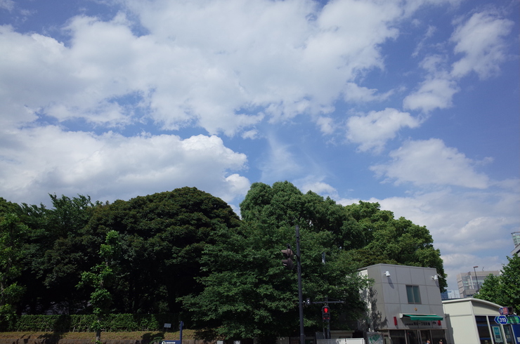 a0287336_2371326.jpg