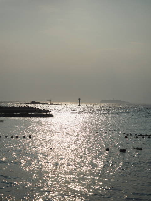 b0117437_14595848.jpg