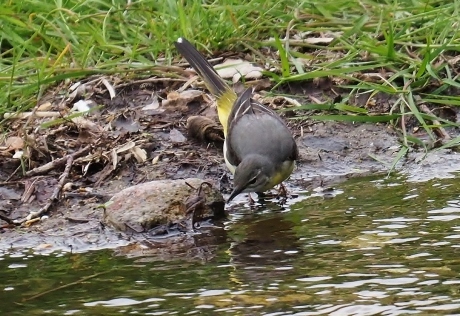 a0248540_13445630.jpg