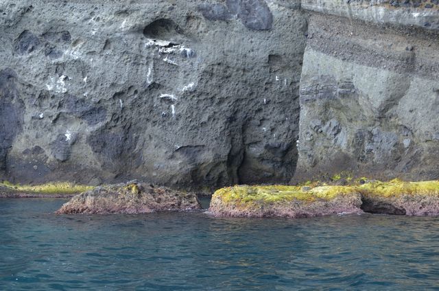 e0098241_1151110.jpg