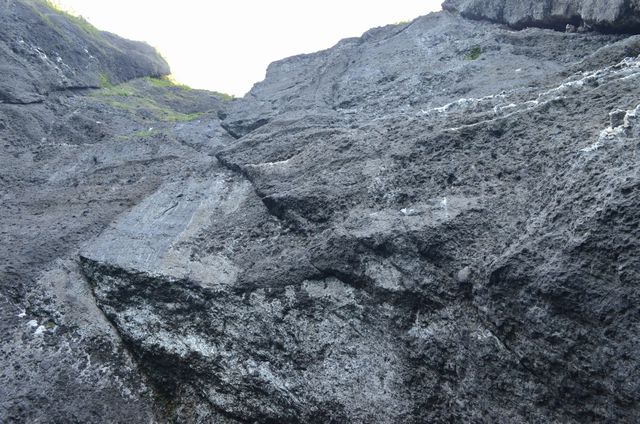 e0098241_1152656.jpg