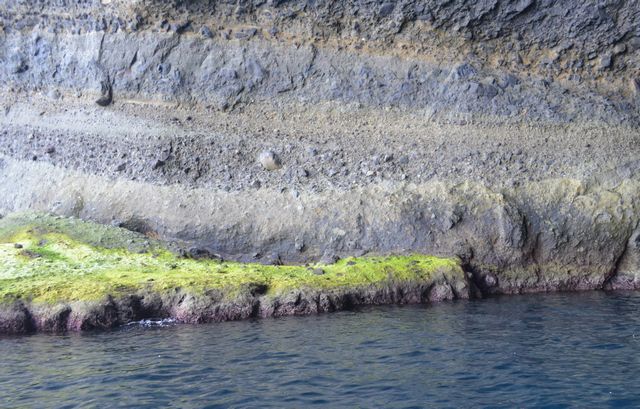 e0098241_1154840.jpg