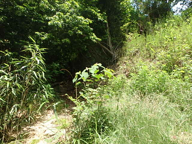 f0334143_726311.jpg