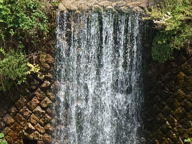 f0334143_72717.jpg