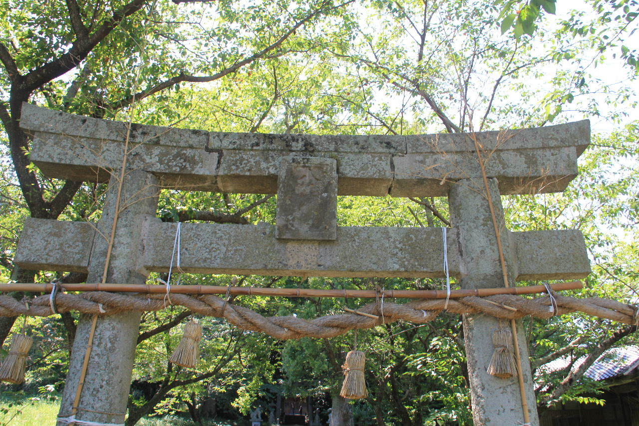 c0011649_06145148.jpg