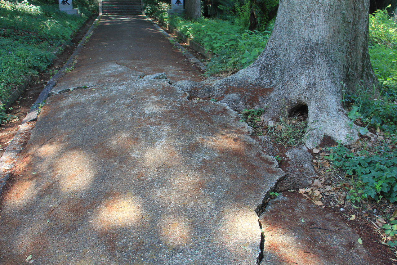 c0011649_06153746.jpg