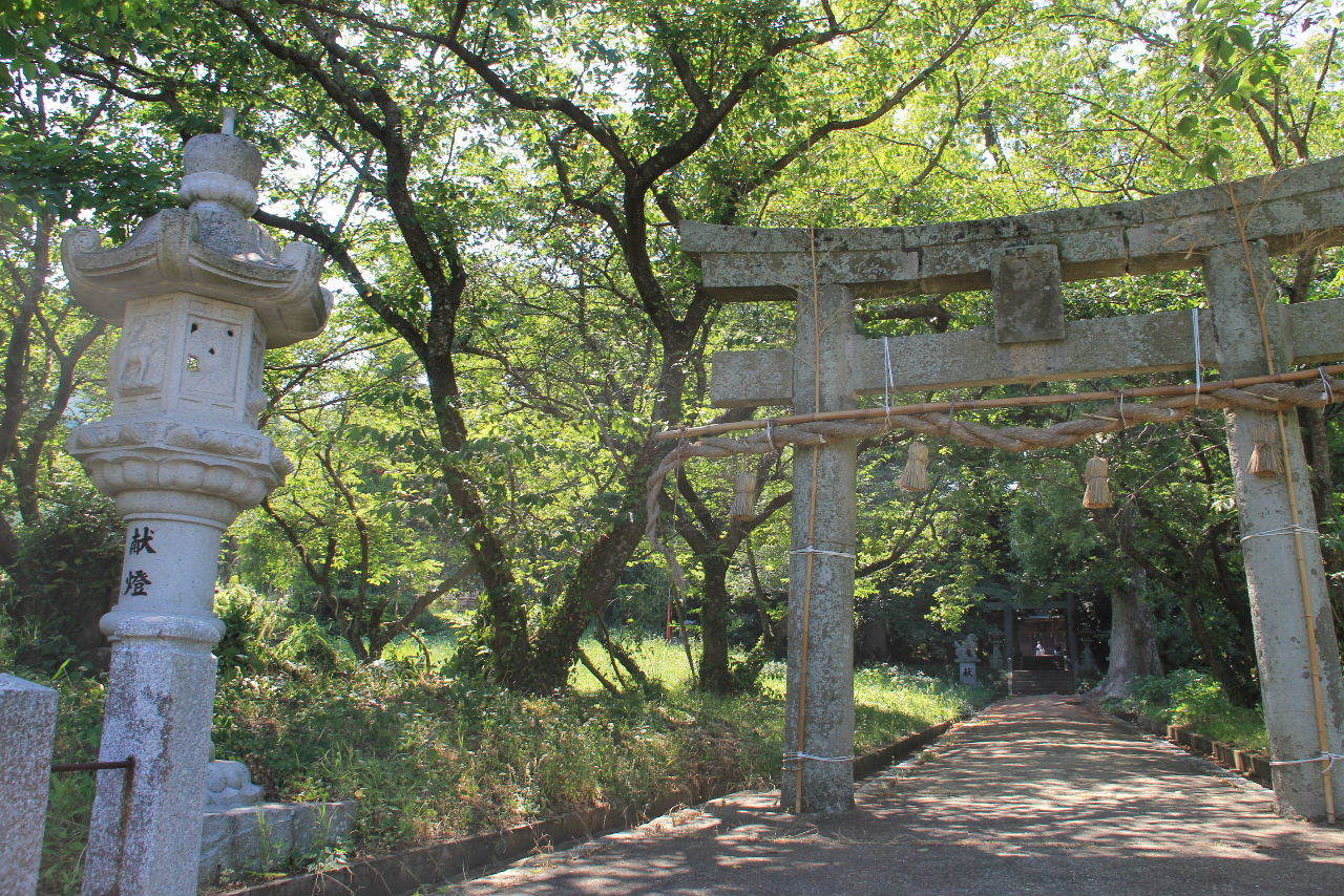 c0011649_06171617.jpg