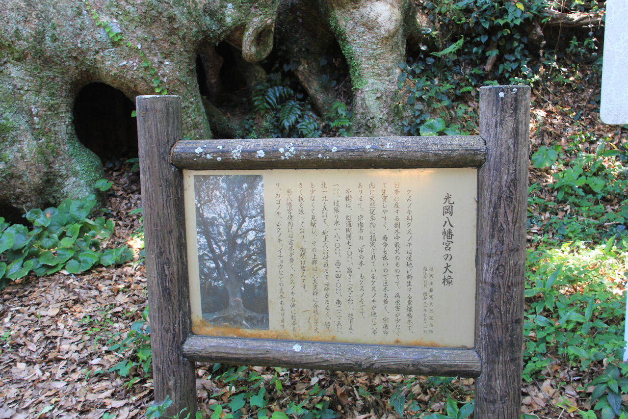 c0011649_12311795.jpg