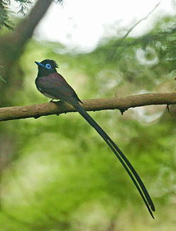f0342250_06461209.jpg