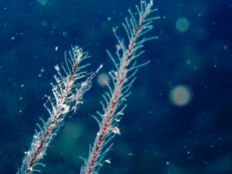 e0361460_22025531.jpg