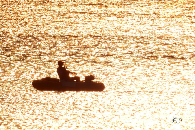 c0061761_874186.jpg