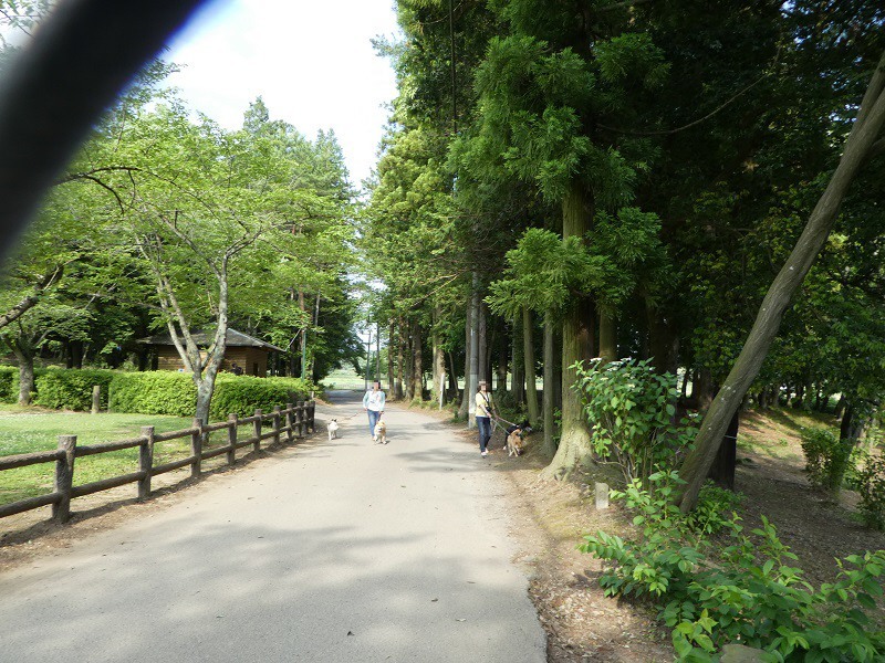 f0233763_20341906.jpg