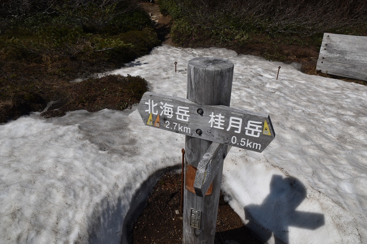 b0281366_13223375.jpg