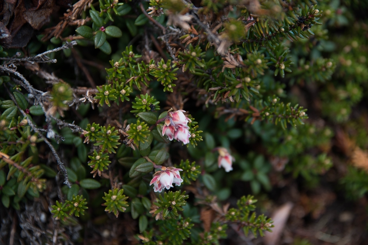 b0281366_13225072.jpg