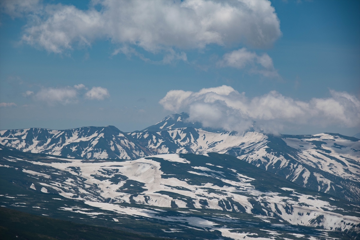 b0281366_13251719.jpg
