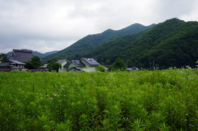 c0168780_20103022.jpg