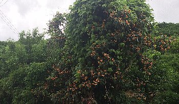 f0003283_15374812.jpg