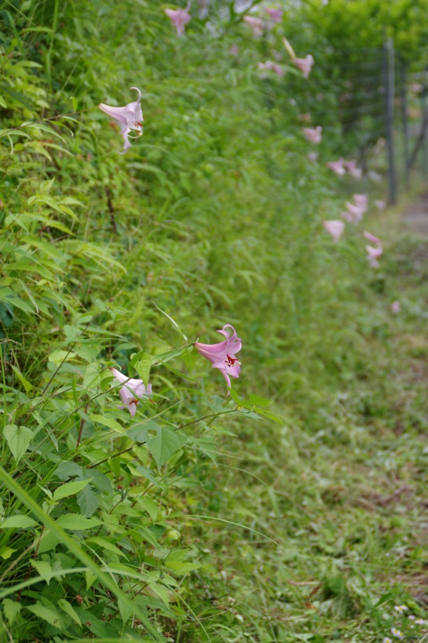 c0144185_22173917.jpg