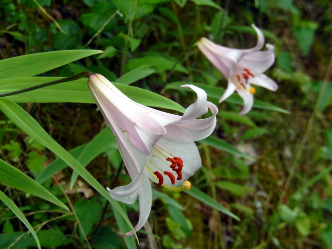c0144185_22252040.jpg