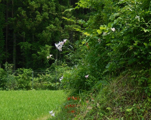 c0144185_2228737.jpg