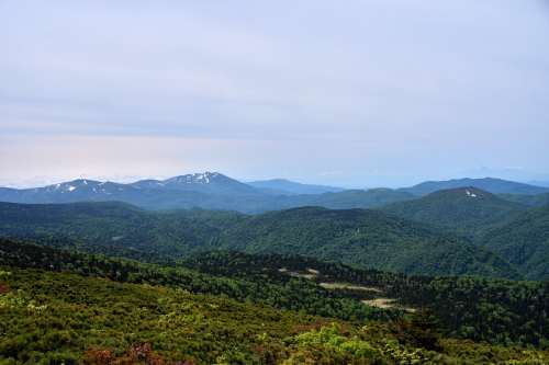 e0241691_22042533.jpg