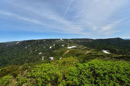 e0241691_22335347.jpg